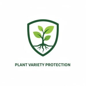 generated image september 07, 2025 9 03pm